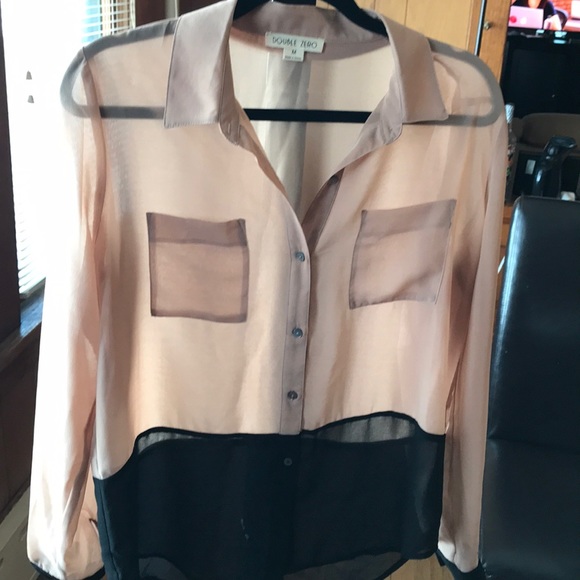 Sheer Blouse - Picture 8 of 13